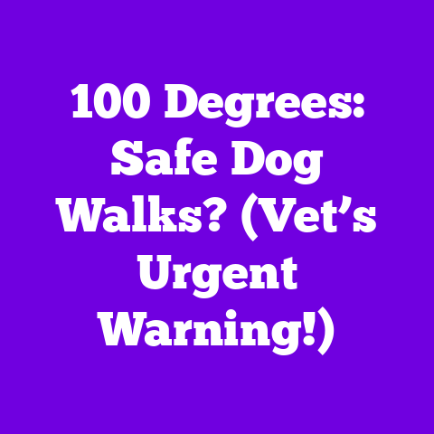 100 Degrees: Safe Dog Walks? (Vet’s Urgent Warning!)