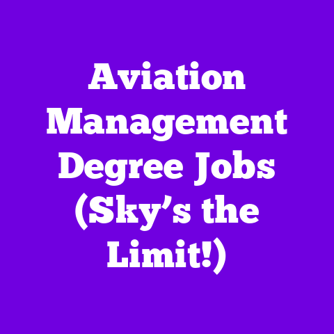 Aviation Management Degree Jobs (Sky’s the Limit!)