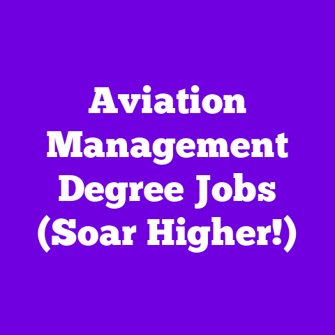 Aviation Management Degree Jobs (Soar Higher!)