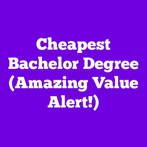 Cheapest Bachelor Degree (Amazing Value Alert!)