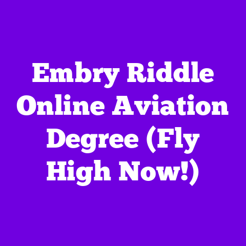 Embry Riddle Online Aviation Degree (Fly High Now!)