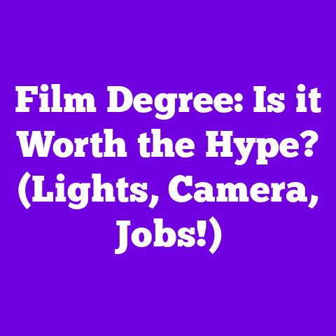 Film Degree: Is it Worth the Hype? (Lights, Camera, Jobs!)